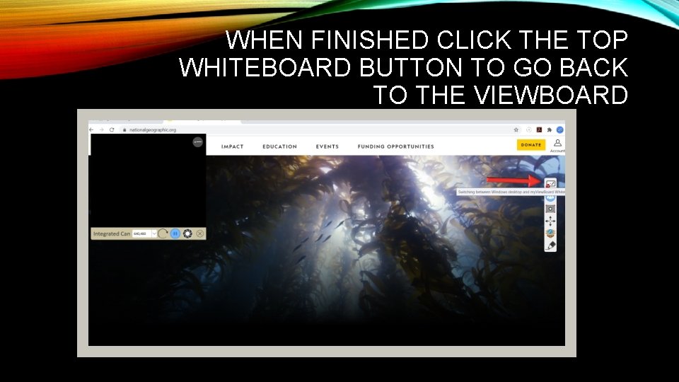 WHEN FINISHED CLICK THE TOP WHITEBOARD BUTTON TO GO BACK TO THE VIEWBOARD 