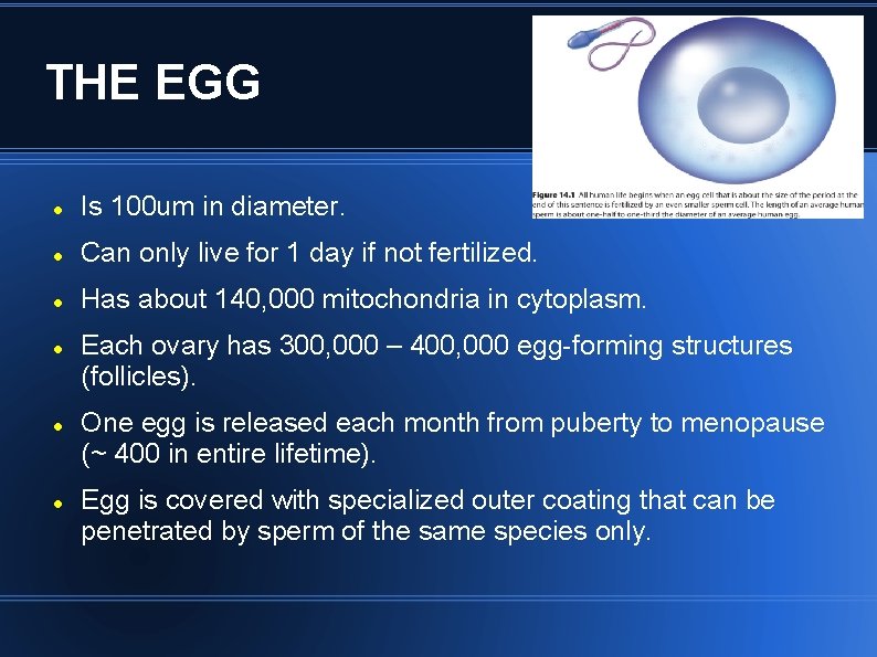 THE EGG Is 100 um in diameter. Can only live for 1 day if