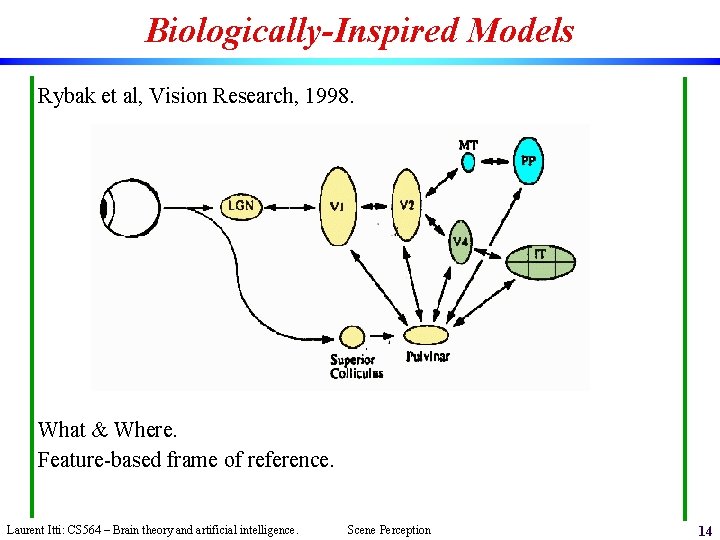 Biologically-Inspired Models Rybak et al, Vision Research, 1998. What & Where. Feature-based frame of