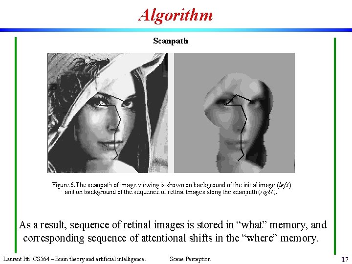 Algorithm As a result, sequence of retinal images is stored in “what” memory, and
