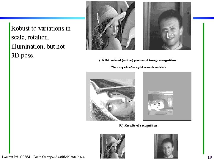 Robust to variations in scale, rotation, illumination, but not 3 D pose. Laurent Itti: