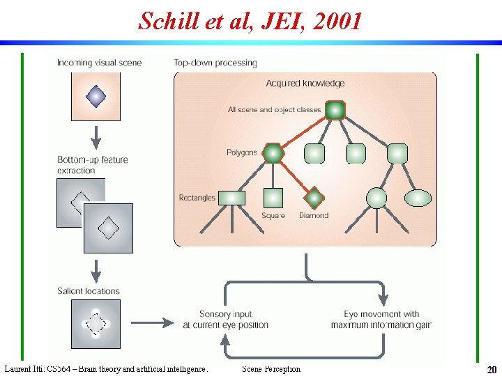 Schill et al, JEI, 2001 Laurent Itti: CS 564 – Brain theory and artificial