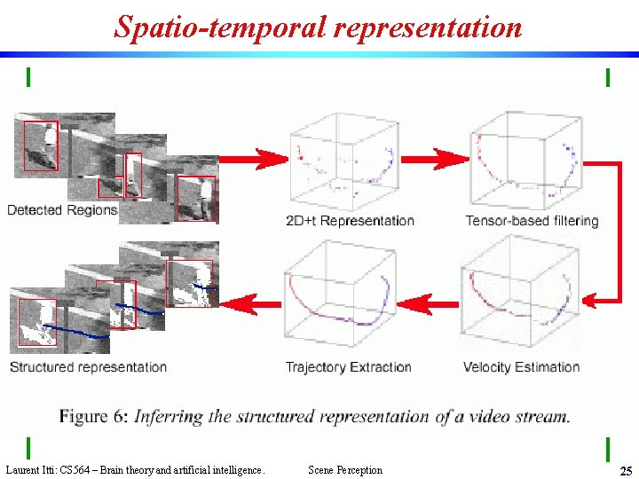 Spatio-temporal representation Laurent Itti: CS 564 – Brain theory and artificial intelligence. Scene Perception