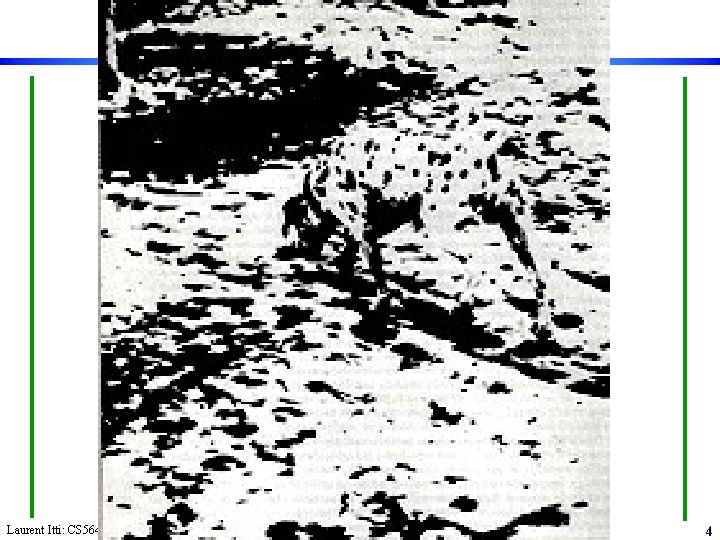 Laurent Itti: CS 564 – Brain theory and artificial intelligence. Scene Perception 4 