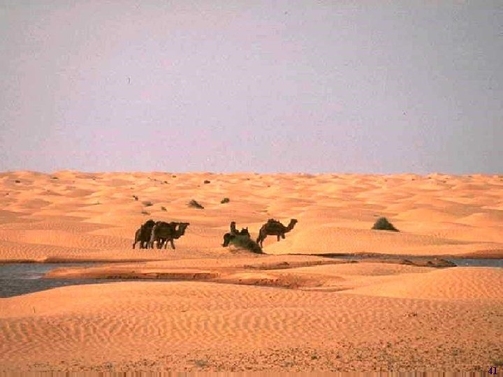 Laurent Itti: CS 564 – Brain theory and artificial intelligence. Scene Perception 41 