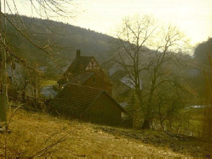 Laurent Itti: CS 564 – Brain theory and artificial intelligence. Scene Perception 43 