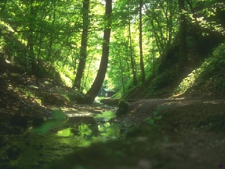 Laurent Itti: CS 564 – Brain theory and artificial intelligence. Scene Perception 45 