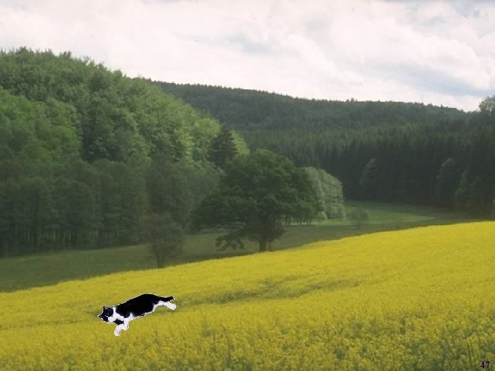 Laurent Itti: CS 564 – Brain theory and artificial intelligence. Scene Perception 47 