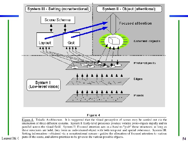 Laurent Itti: CS 564 – Brain theory and artificial intelligence. Scene Perception 54 