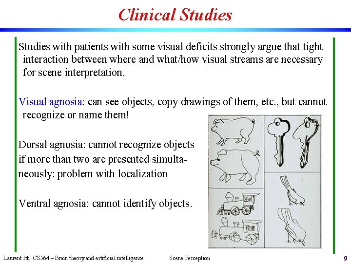 Clinical Studies with patients with some visual deficits strongly argue that tight interaction between