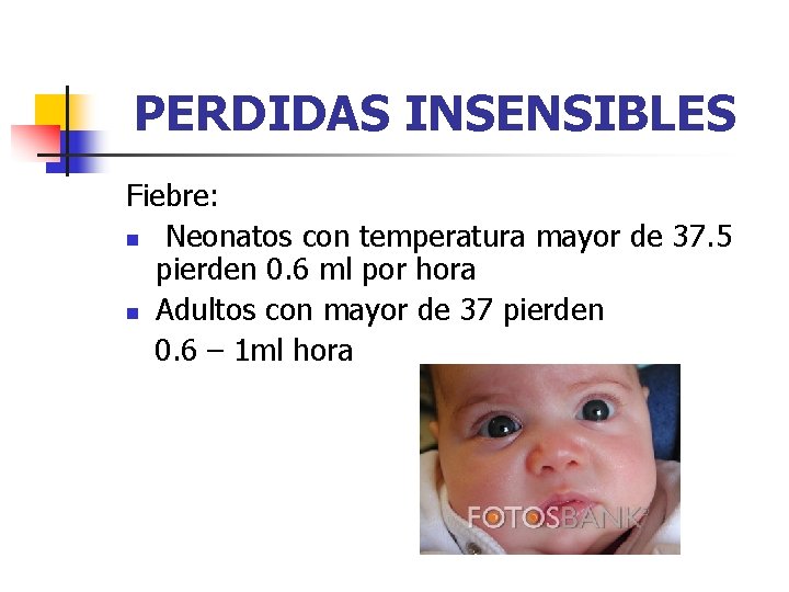 PERDIDAS INSENSIBLES Fiebre: n Neonatos con temperatura mayor de 37. 5 pierden 0. 6