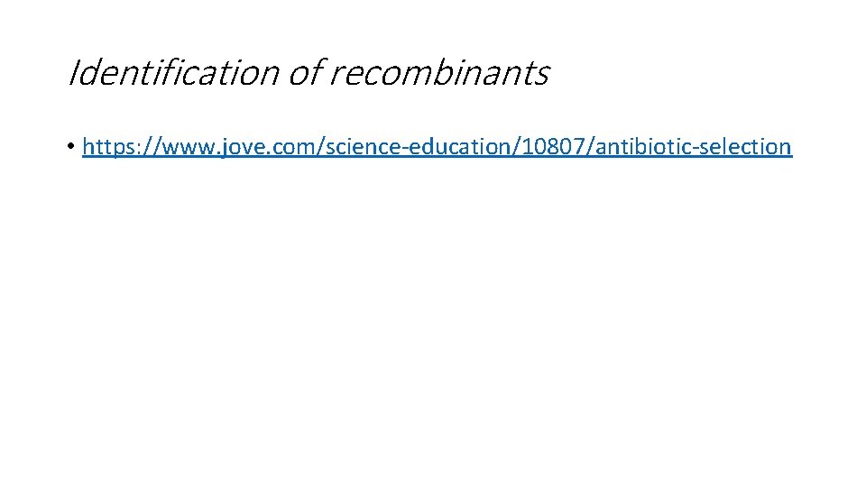 Identification of recombinants • https: //www. jove. com/science-education/10807/antibiotic-selection 