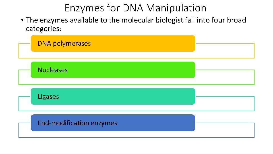 Enzymes for DNA Manipulation • The enzymes available to the molecular biologist fall into