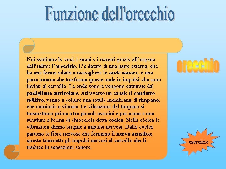 Noi sentiamo le voci, i suoni e i rumori grazie all’organo al dell’udito: l’orecchio.