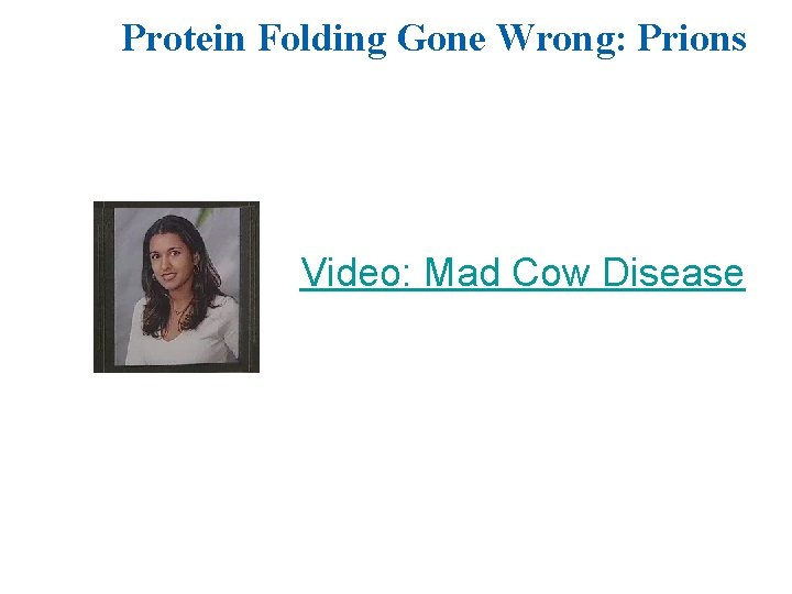 Protein Folding Gone Wrong: Prions Video: Mad Cow Disease 