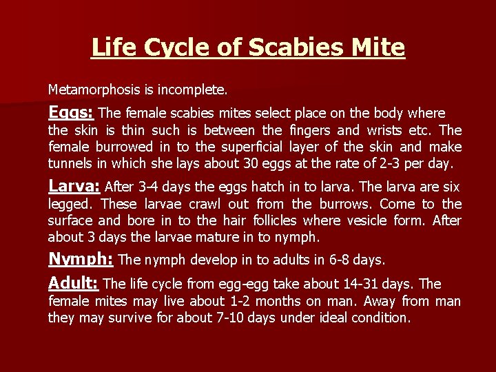 Life Cycle of Scabies Mite Metamorphosis is incomplete. Eggs: The female scabies mites select