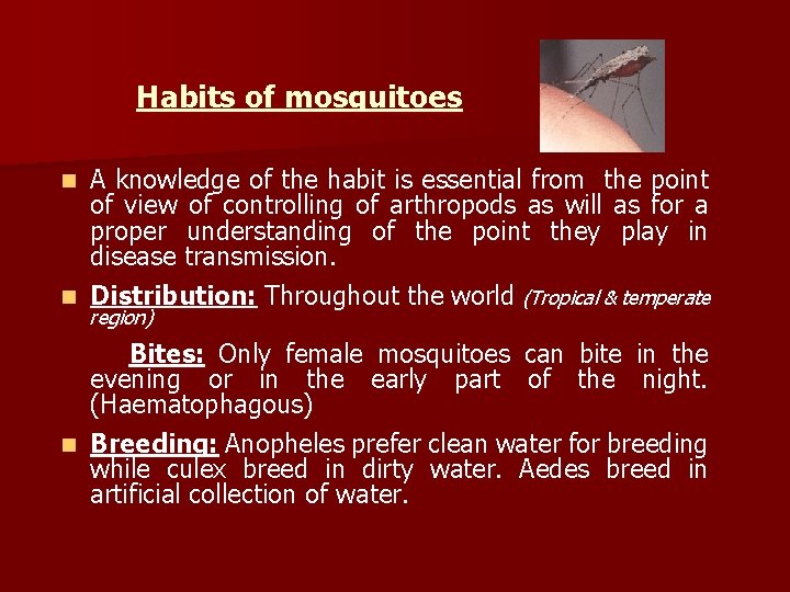 Habits of mosquitoes A knowledge of the habit is essential from the point of