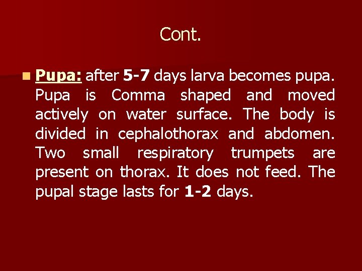 Cont. n Pupa: after 5 -7 days larva becomes pupa. Pupa is Comma shaped