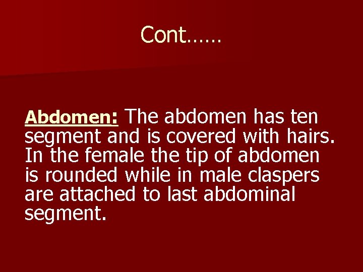 Cont…… Abdomen: The abdomen has ten segment and is covered with hairs. In the