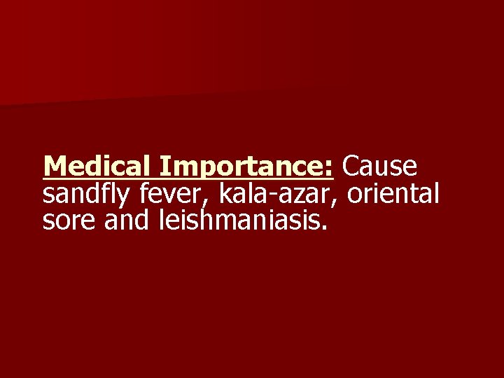 Medical Importance: Cause sandfly fever, kala-azar, oriental sore and leishmaniasis. 