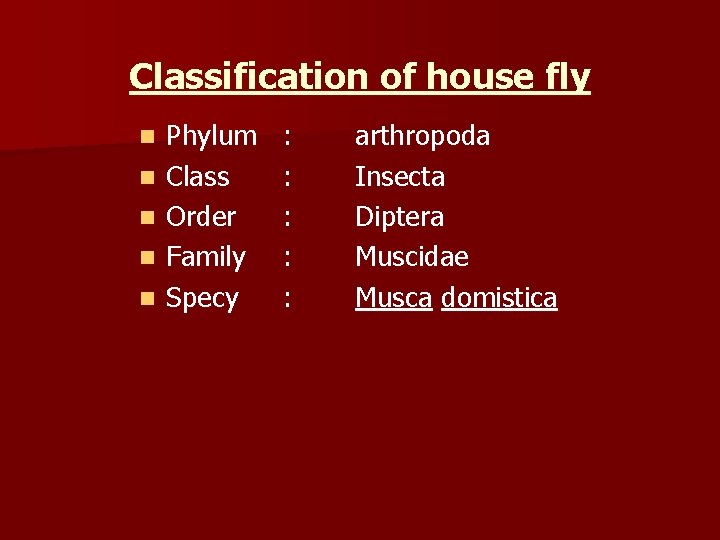 Classification of house fly n n n Phylum Class Order Family Specy : :
