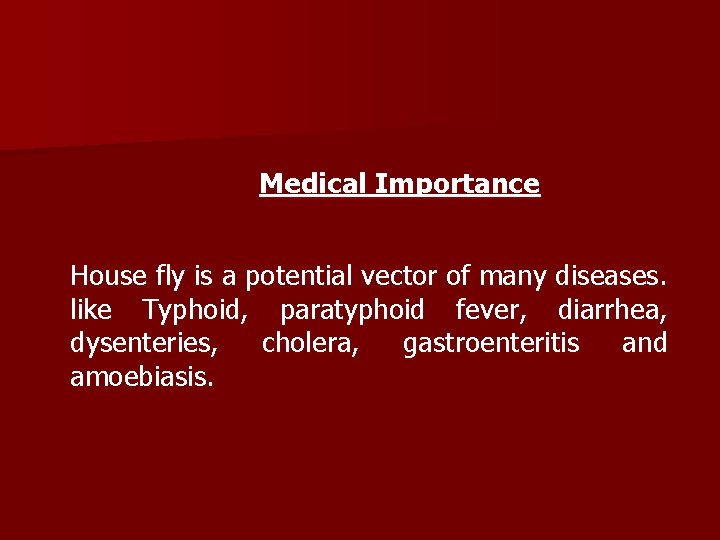 Medical Importance House fly is a potential vector of many diseases. like Typhoid, paratyphoid