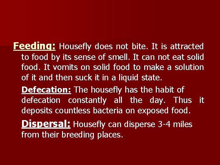 Feeding: Housefly does not bite. It is attracted to food by its sense of