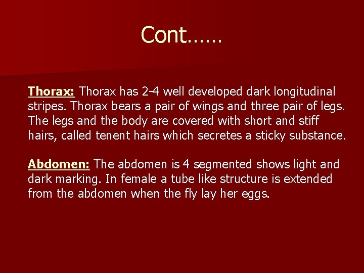 Cont…… Thorax: Thorax has 2 -4 well developed dark longitudinal stripes. Thorax bears a