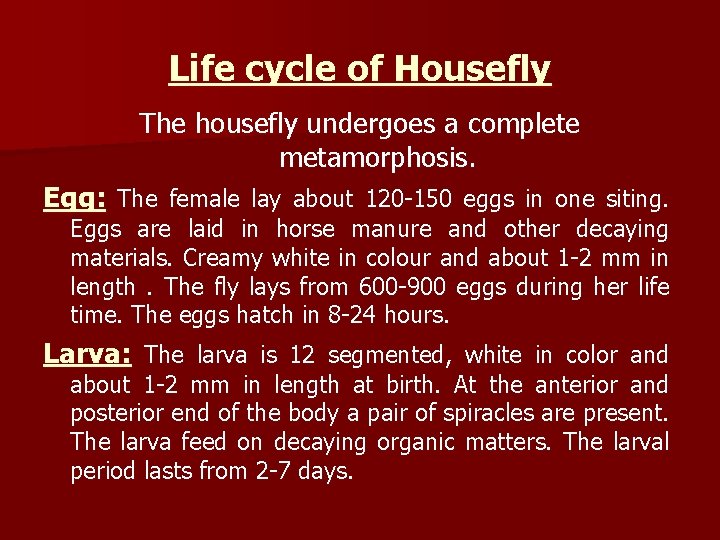 Life cycle of Housefly The housefly undergoes a complete metamorphosis. Egg: The female lay