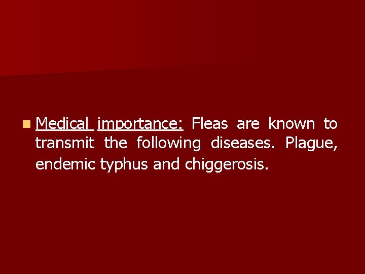 n Medical importance: Fleas are known to transmit the following diseases. Plague, endemic typhus