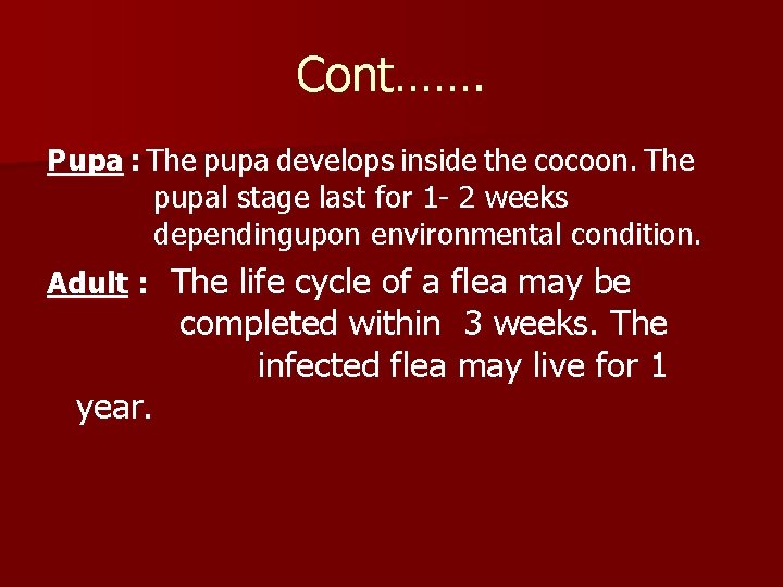 Cont……. Pupa : The pupa develops inside the cocoon. The pupal stage last for