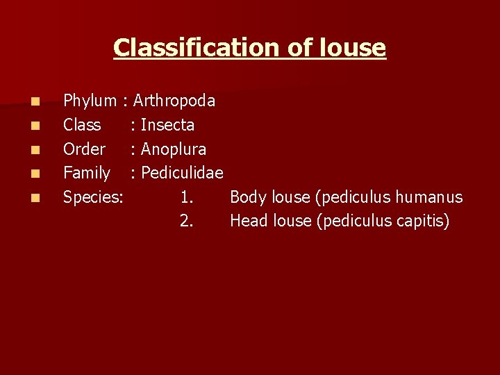 Classification of louse n n n Phylum : Arthropoda Class : Insecta Order :