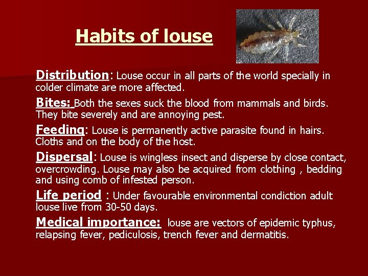 Habits of louse Distribution: Louse occur in all parts of the world specially in