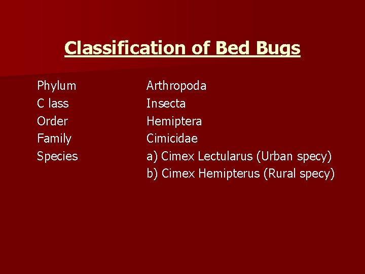Classification of Bed Bugs Phylum C lass Order Family Species Arthropoda Insecta Hemiptera Cimicidae