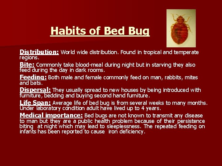 Habits of Bed Bug Distribution: World wide distribution. Found in tropical and temperate regions.