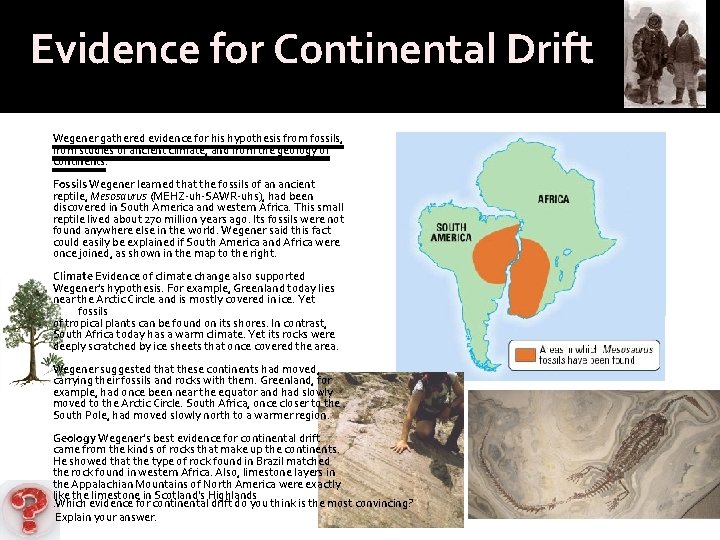 Evidence for Continental Drift Wegener gathered evidence for his hypothesis from fossils, from studies