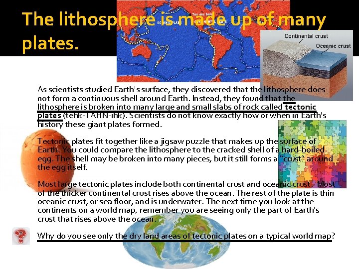 The lithosphere is made up of many plates. As scientists studied Earth's surface, they