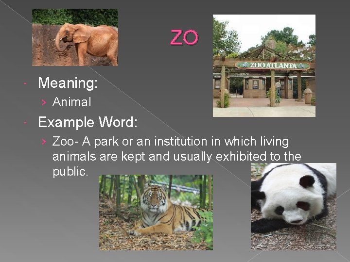 ZO Meaning: › Animal Example Word: › Zoo- A park or an institution in