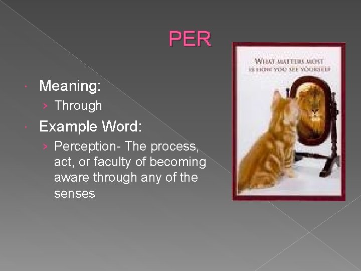 PER Meaning: › Through Example Word: › Perception- The process, act, or faculty of