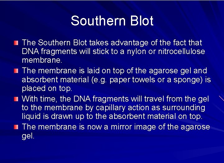 Southern Blot The Southern Blot takes advantage of the fact that DNA fragments will