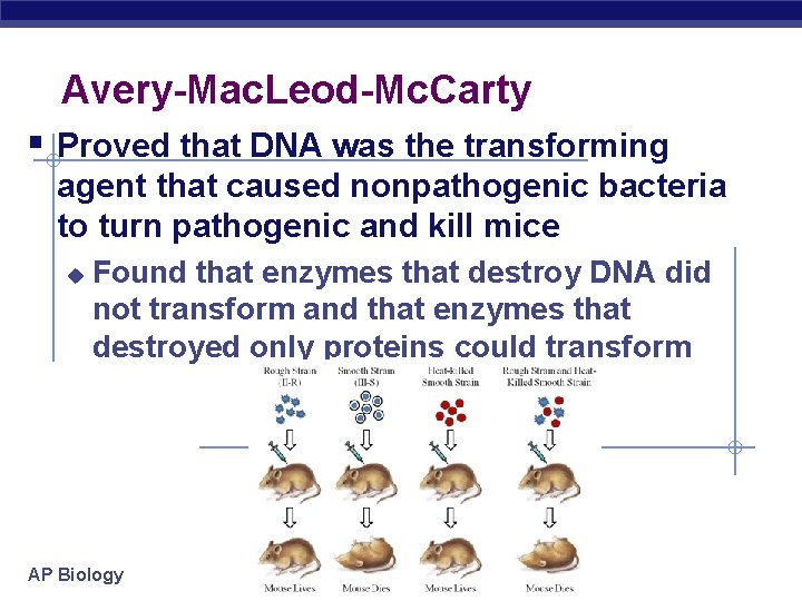 Avery-Mac. Leod-Mc. Carty § Proved that DNA was the transforming agent that caused nonpathogenic