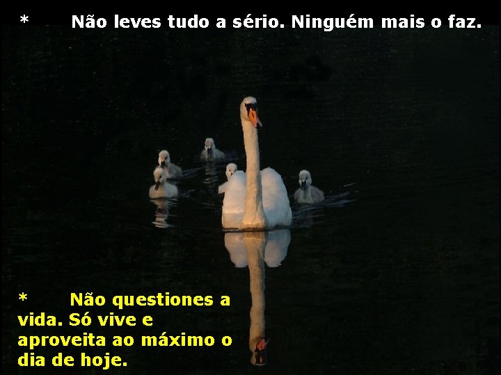 * Não leves tudo a sério. Ninguém mais o faz. * Não questiones a