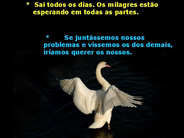 * Sai todos os dias. Os milagres estão esperando em todas as partes. *