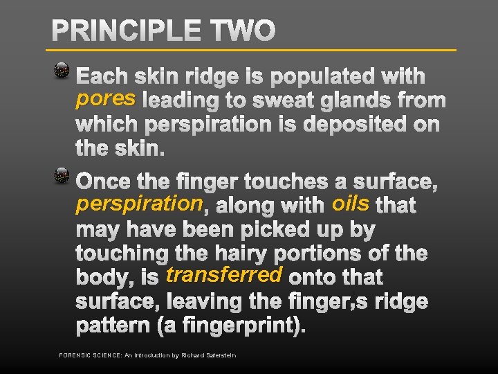 PRINCIPLE TWO Each skin ridge is populated with pores leading to sweat glands from