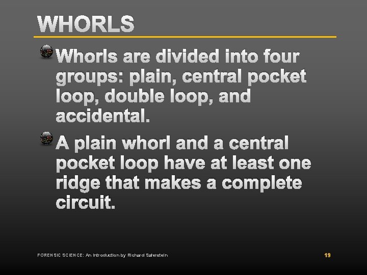 WHORLS Whorls are divided into four groups: plain, central pocket loop, double loop, and