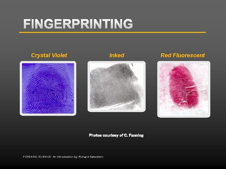 FINGERPRINTING Crystal Violet Inked Photos courtesy of C. Fanning FORENSIC SCIENCE: An Introduction by