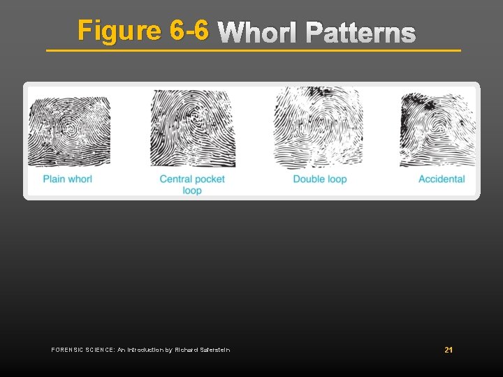 Figure 6 -6 Whorl Patterns FORENSIC SCIENCE: An Introduction by Richard Saferstein 21 