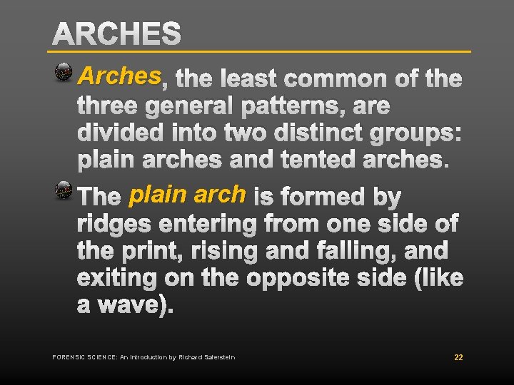 ARCHES Arches , the least common of the three general patterns, are divided into