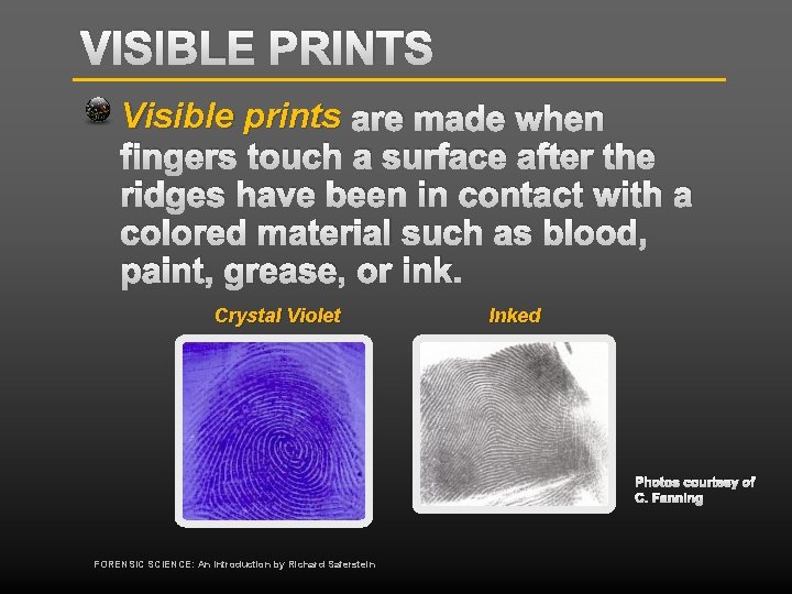 VISIBLE PRINTS Visible prints are made when fingers touch a surface after the ridges