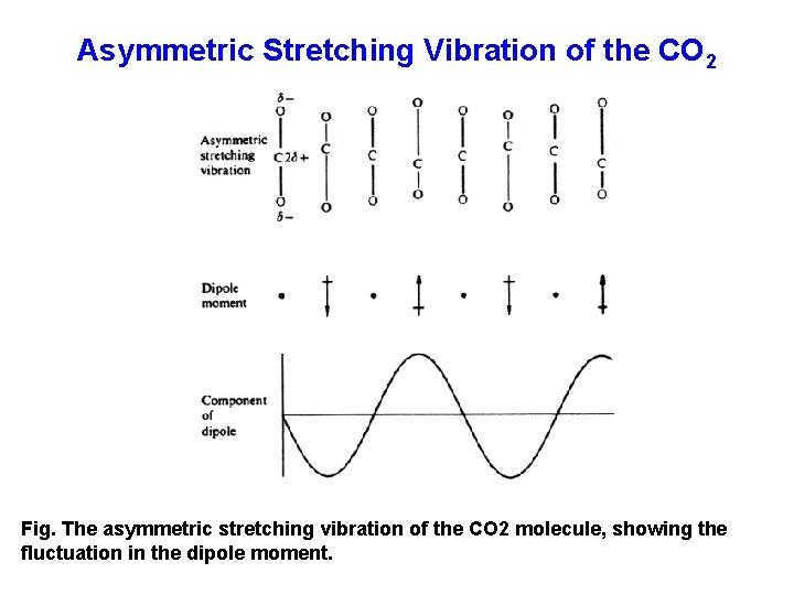 Asymmetric Stretching Vibration of the CO 2 Fig. The asymmetric stretching vibration of the